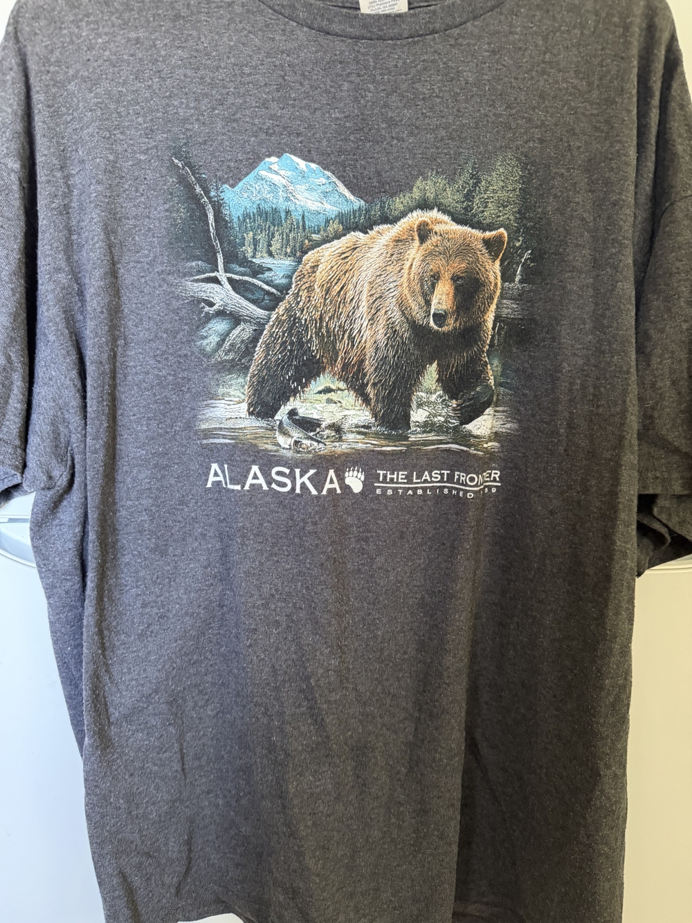 Delta Gray Alaska Bear Graphic Short Sleeve Tee